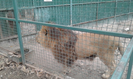 Зоопарк місто Харків