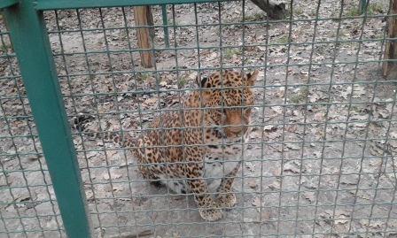 Зоопарк місто Харків