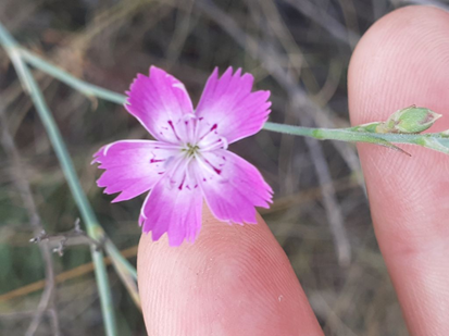 Марафон кліматичної адаптації